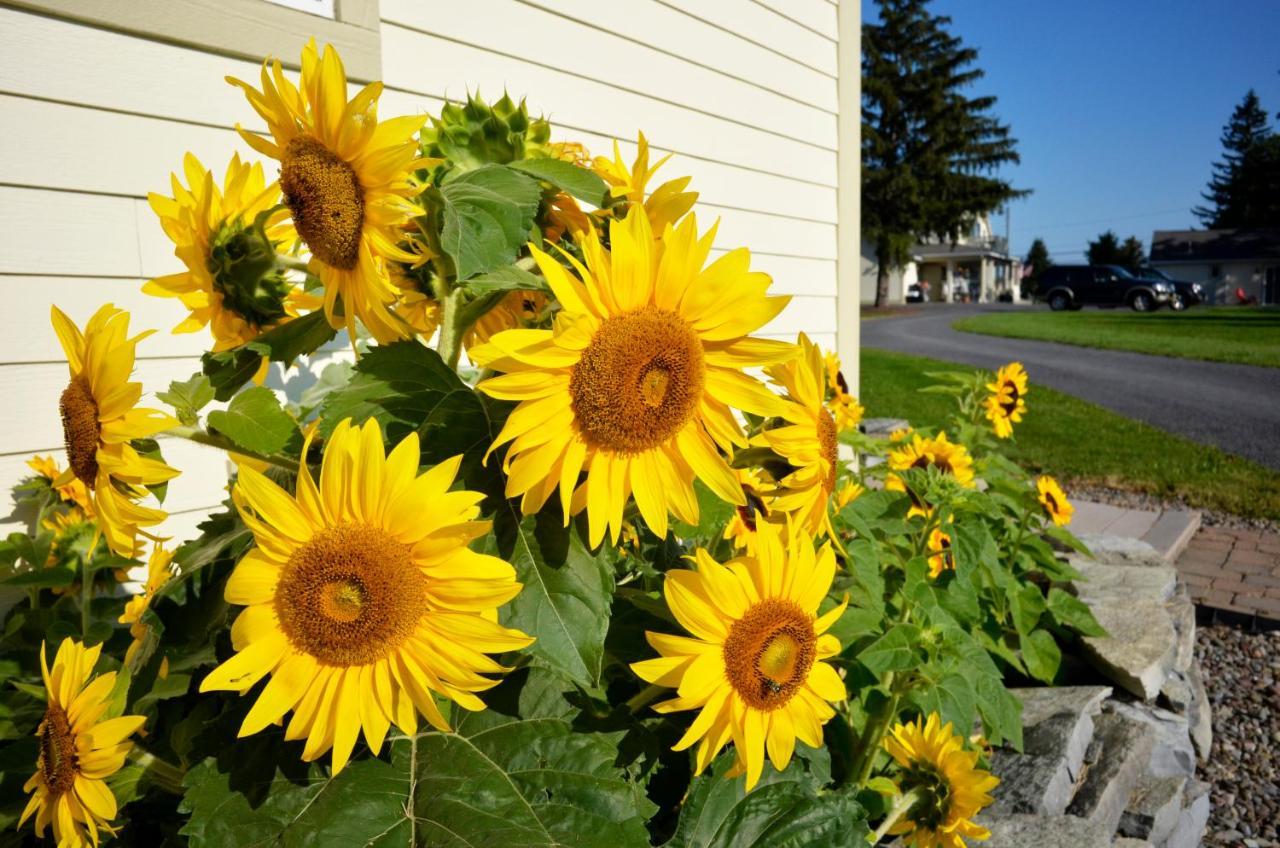 Skaneateles Suites エクステリア 写真