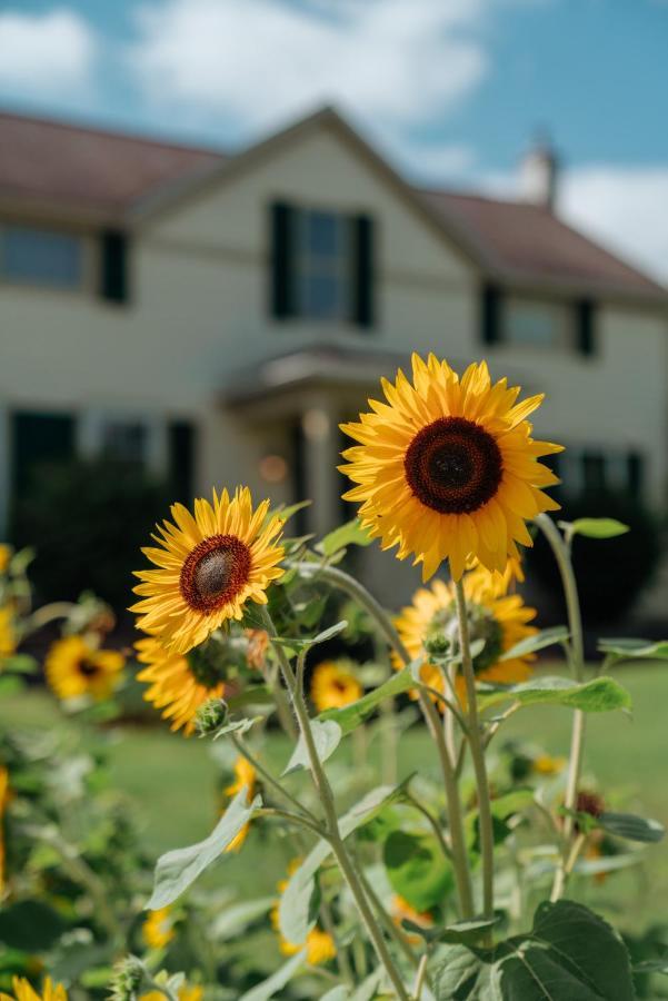 Skaneateles Suites エクステリア 写真